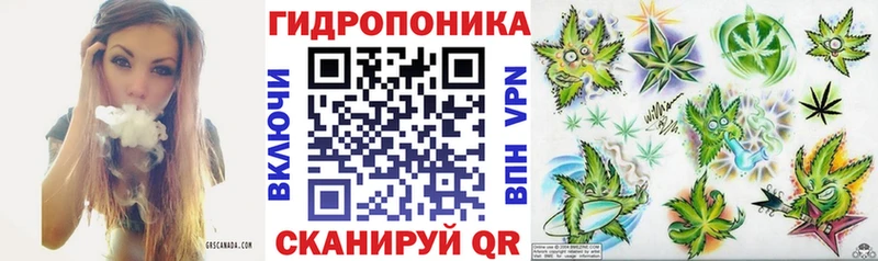 OMG ССЫЛКА  Уржум  Шишки марихуана White Widow  купить  цена 